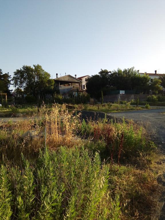 Carlo'S Country House Кастеллина-Мариттима Экстерьер фото