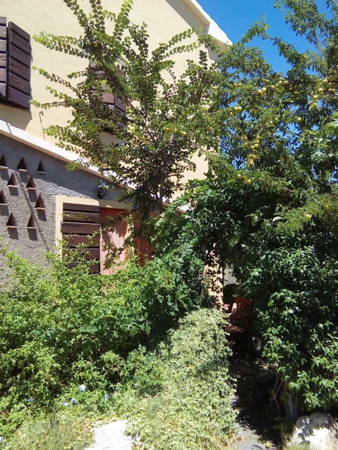 Carlo'S Country House Кастеллина-Мариттима Экстерьер фото